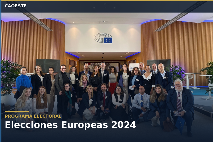 elecciones europeas 2024 card