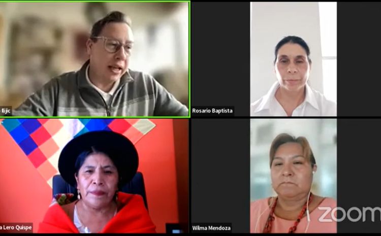 El Observatorio de Mujeres y Política celebró el webinar «Violencia política de género en Bolivia»